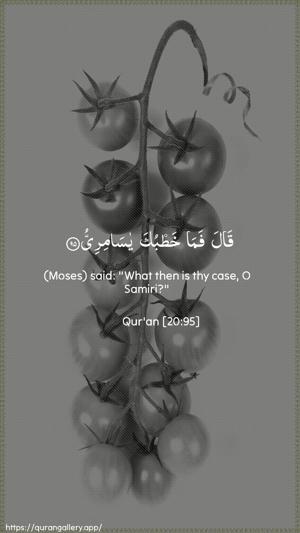 Taa-Haa Ayah 95 - Arabic + English wallpaper