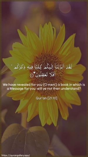 Al-Anbiyaa Ayah 10 - Arabic + English wallpaper