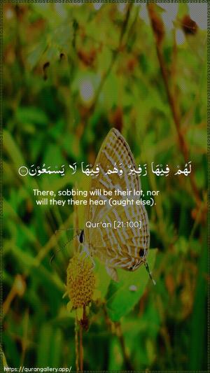 Al-Anbiyaa Ayah 100 - Arabic + English wallpaper