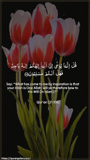 Al-Anbiyaa Ayah 108 - Arabic + English wallpaper