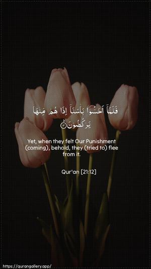 Al-Anbiyaa Ayah 12 - Arabic + English wallpaper
