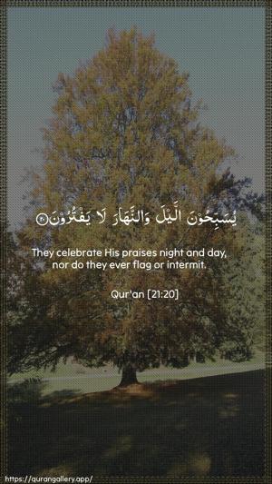 Al-Anbiyaa Ayah 20 - Arabic + English wallpaper