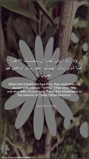 Al-Anbiyaa Ayah 36 - Arabic + English wallpaper