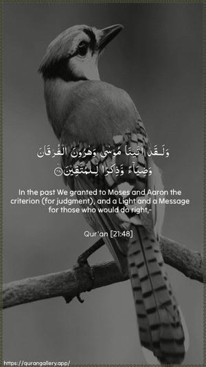 Al-Anbiyaa Ayah 48 - Arabic + English wallpaper