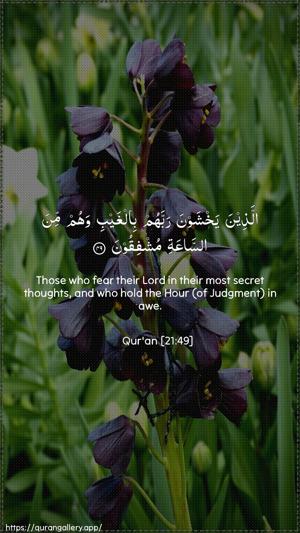 Al-Anbiyaa Ayah 49 - Arabic + English wallpaper