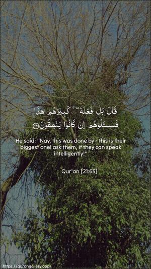 Al-Anbiyaa Ayah 63 - Arabic + English wallpaper
