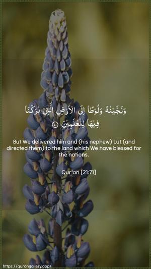 Al-Anbiyaa Ayah 71 - Arabic + English wallpaper