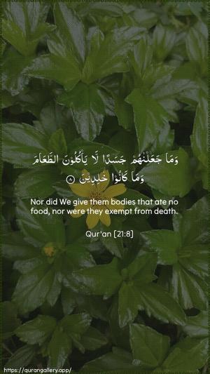 Al-Anbiyaa Ayah 8 - Arabic + English wallpaper