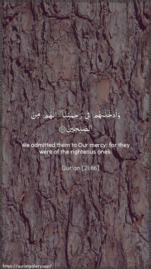 Al-Anbiyaa Ayah 86 - Arabic + English wallpaper