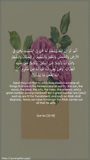Al-Hajj Ayah 18 - Arabic + English wallpaper