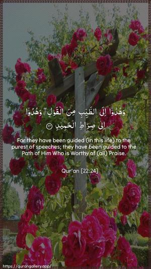 Al-Hajj Ayah 24 - Arabic + English wallpaper