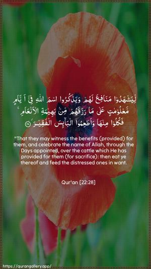 Al-Hajj Ayah 28 - Arabic + English wallpaper