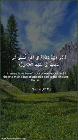 Al-Hajj Ayah 33 - Arabic + English wallpaper