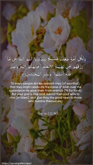Al-Hajj Ayah 34 - Arabic + English wallpaper