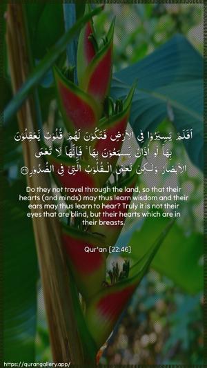 Al-Hajj Ayah 46 - Arabic + English wallpaper