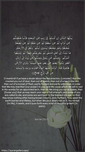 Al-Hajj Ayah 5 - Arabic + English wallpaper