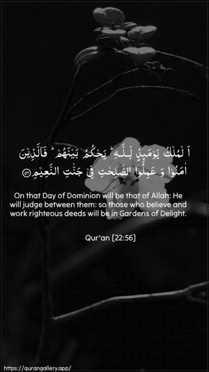 Al-Hajj Ayah 56 - Arabic + English wallpaper