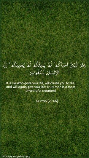 Al-Hajj Ayah 66 - Arabic + English wallpaper