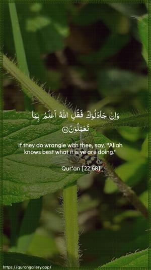 Al-Hajj Ayah 68 - Arabic + English wallpaper