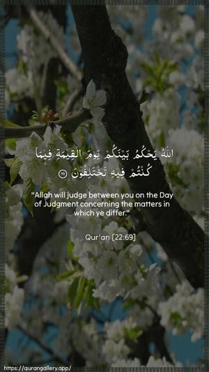 Al-Hajj Ayah 69 - Arabic + English wallpaper