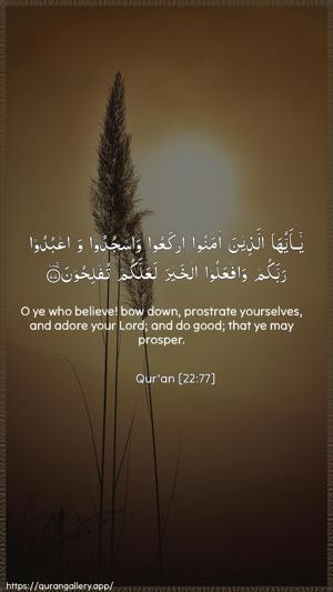 Al-Hajj Ayah 77 - Arabic + English wallpaper
