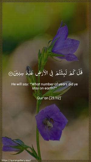 Al-Muminoon Ayah 112 - Arabic + English wallpaper