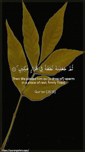 Al-Muminoon Ayah 13 - Arabic + English wallpaper