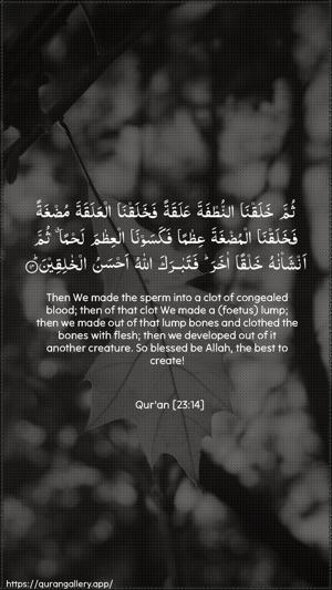 Al-Muminoon Ayah 14 - Arabic + English wallpaper