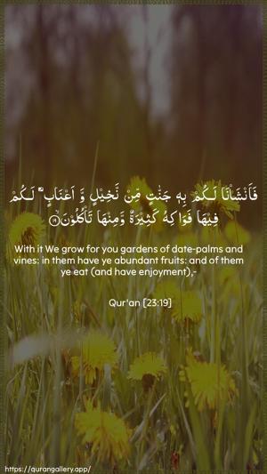 Al-Muminoon Ayah 19 - Arabic + English wallpaper