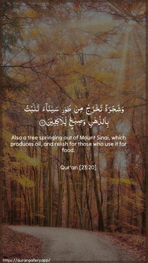 Al-Muminoon Ayah 20 - Arabic + English wallpaper