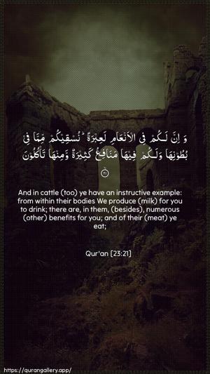 Al-Muminoon Ayah 21 - Arabic + English wallpaper