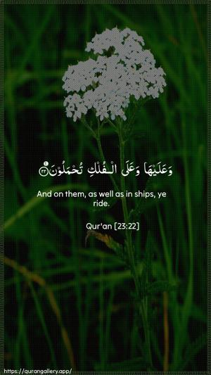 Al-Muminoon Ayah 22 - Arabic + English wallpaper