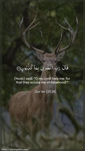 Al-Muminoon Ayah 26 - Arabic + English wallpaper