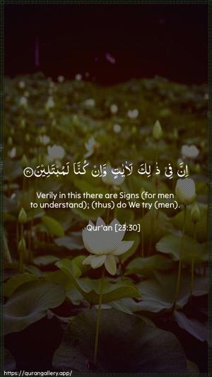 Al-Muminoon Ayah 30 - Arabic + English wallpaper