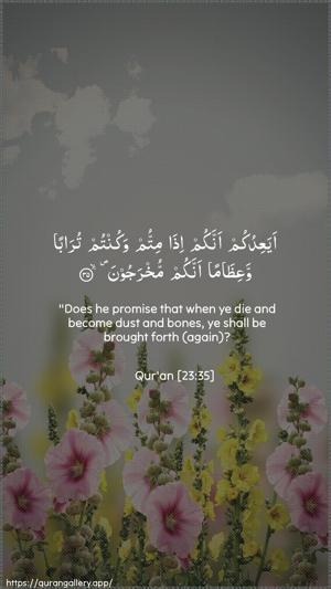 Al-Muminoon Ayah 35 - Arabic + English wallpaper