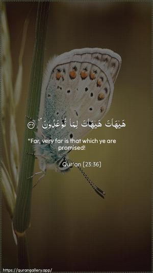 Al-Muminoon Ayah 36 - Arabic + English wallpaper