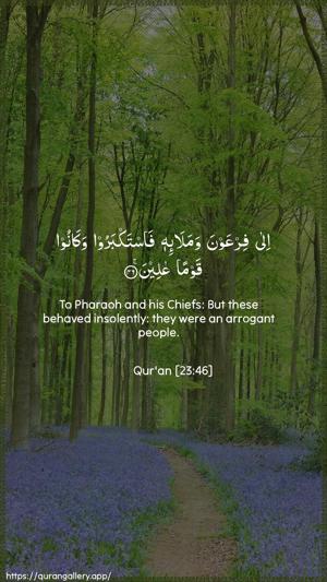 Al-Muminoon Ayah 46 - Arabic + English wallpaper