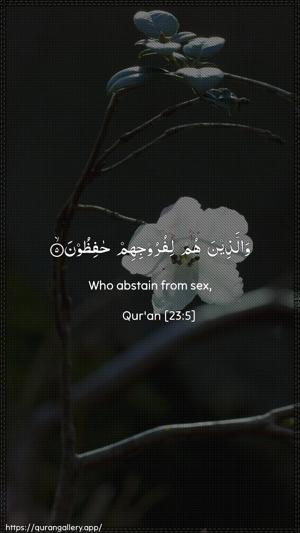 Al-Muminoon Ayah 5 - Arabic + English wallpaper