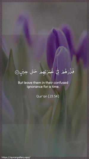 Al-Muminoon Ayah 54 - Arabic + English wallpaper