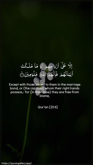 Al-Muminoon Ayah 6 - Arabic + English wallpaper