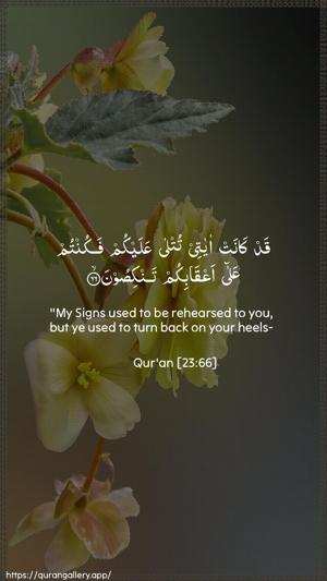 Al-Muminoon Ayah 66 - Arabic + English wallpaper