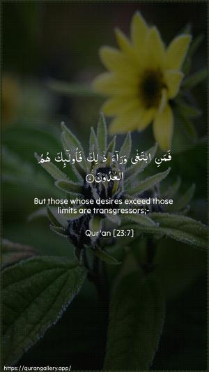 Al-Muminoon Ayah 7 - Arabic + English wallpaper