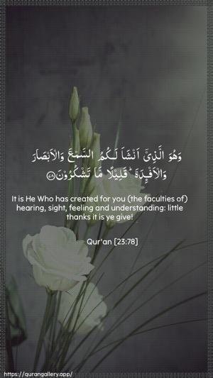 Al-Muminoon Ayah 78 - Arabic + English wallpaper