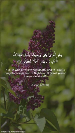 Al-Muminoon Ayah 80 - Arabic + English wallpaper