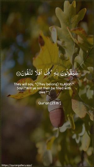 Al-Muminoon Ayah 87 - Arabic + English wallpaper