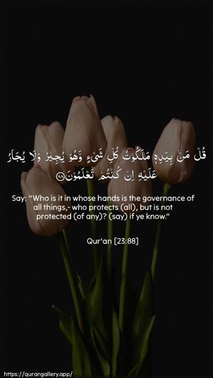 Al-Muminoon Ayah 88 - Arabic + English wallpaper