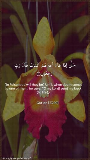 Al-Muminoon Ayah 99 - Arabic + English wallpaper