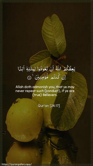 An-Noor Ayah 17 - Arabic + English wallpaper
