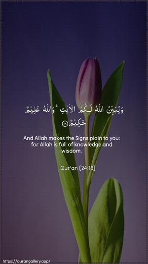 An-Noor Ayah 18 - Arabic + English wallpaper