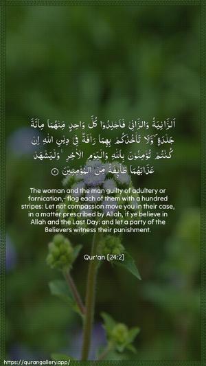 An-Noor Ayah 2 - Arabic + English wallpaper